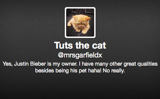 Justin Bieber, Tuts the Cat, Twitter Justin Bieber, Tuts the Cat, Twitter